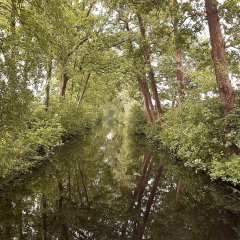 IMG-20240525-WA0008.jpg
